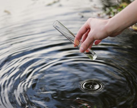 Water sample. Hand collects water to explore. Concept - water purity analysis, environment, ecology. Water testing for infections, permission to swim. selective focus, place for text.